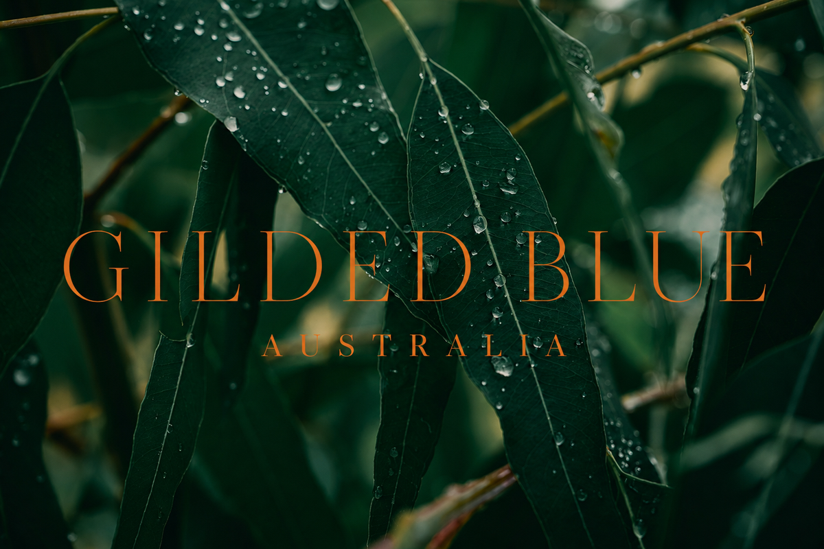 slider image 1621243260e1af0c20-2